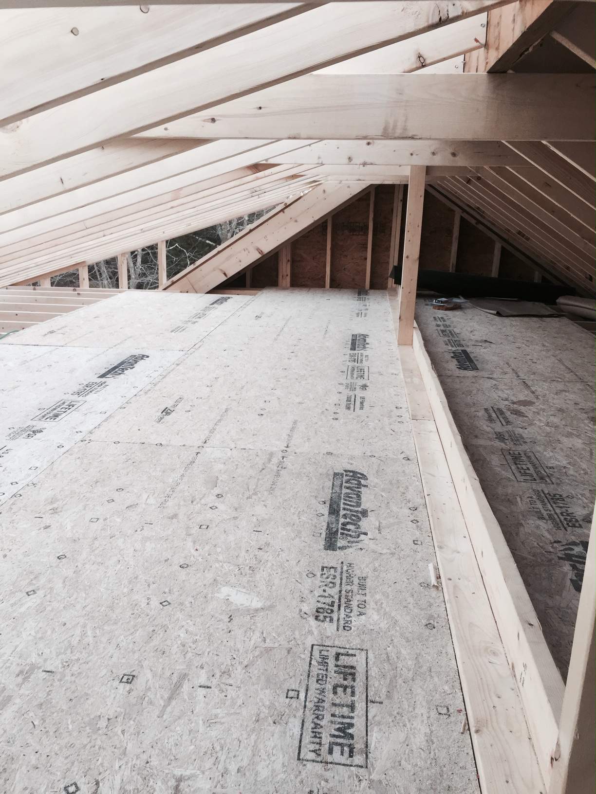 roof 8