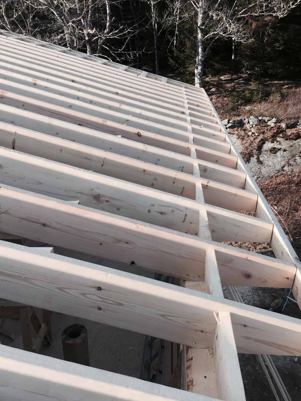 roof 5