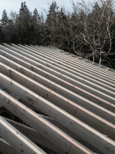 roof 4
