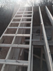 roof 3