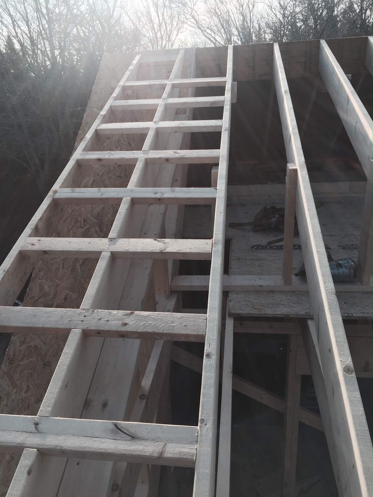 roof 3