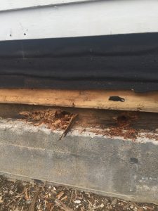 rotten wood replacement image 12