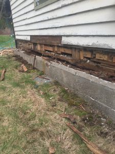 rotten wood replacement image 10