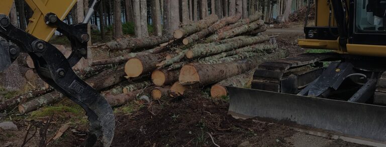 Lot Clearing Handcock county